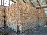 Large square bales of hay