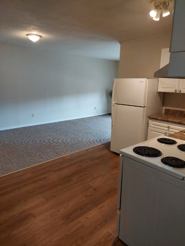 Spacious Renovated Large One Bedroom Apartment in Galt in Long Term Rentals in Cambridge - Image 3