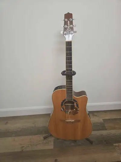 Takamine Guitar  special edition , View more