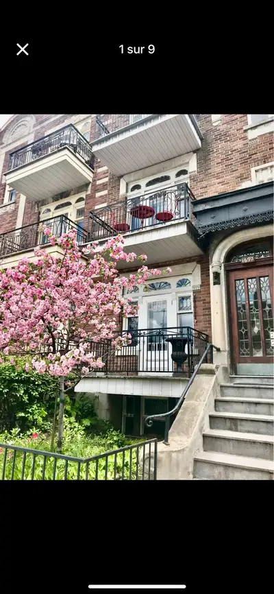 À LOUER – 4 ½  dans le charmant Petit Laurier (Montréal)
