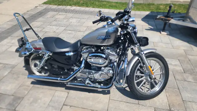 2008 Harley-Davidson 883 sportster XXL in Street, Cruisers & Choppers in Markham / York Region - Image 6