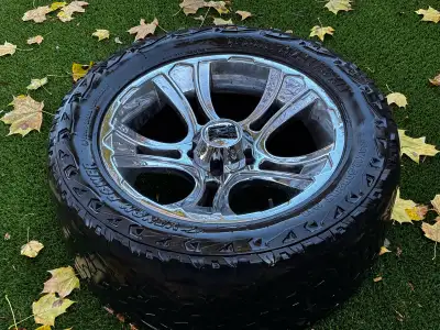 Solid set of rims, tires have one more season left in them then will need a replacement. Willing to...
