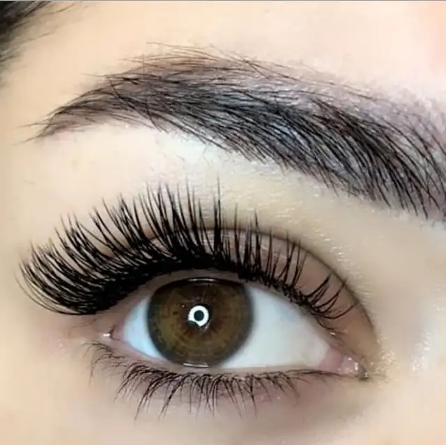 Eyelash Extensions and Eyelash Extensions Training Course 62864359090691121