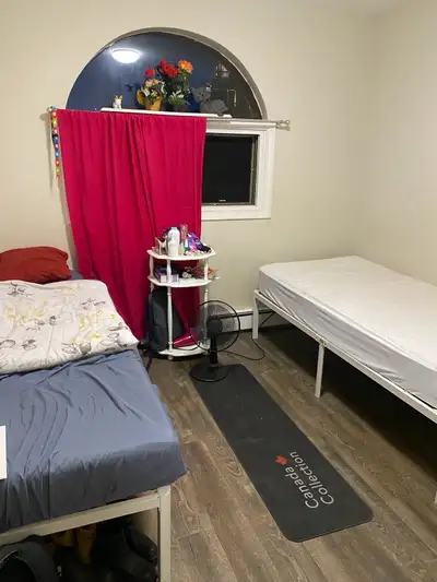 Shared apartment Looking roommates 155 Charlton Avenue E Ontario Hamilton near Mohawk college Apartm...