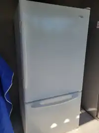 30" Maytag Bottom freeze fridge