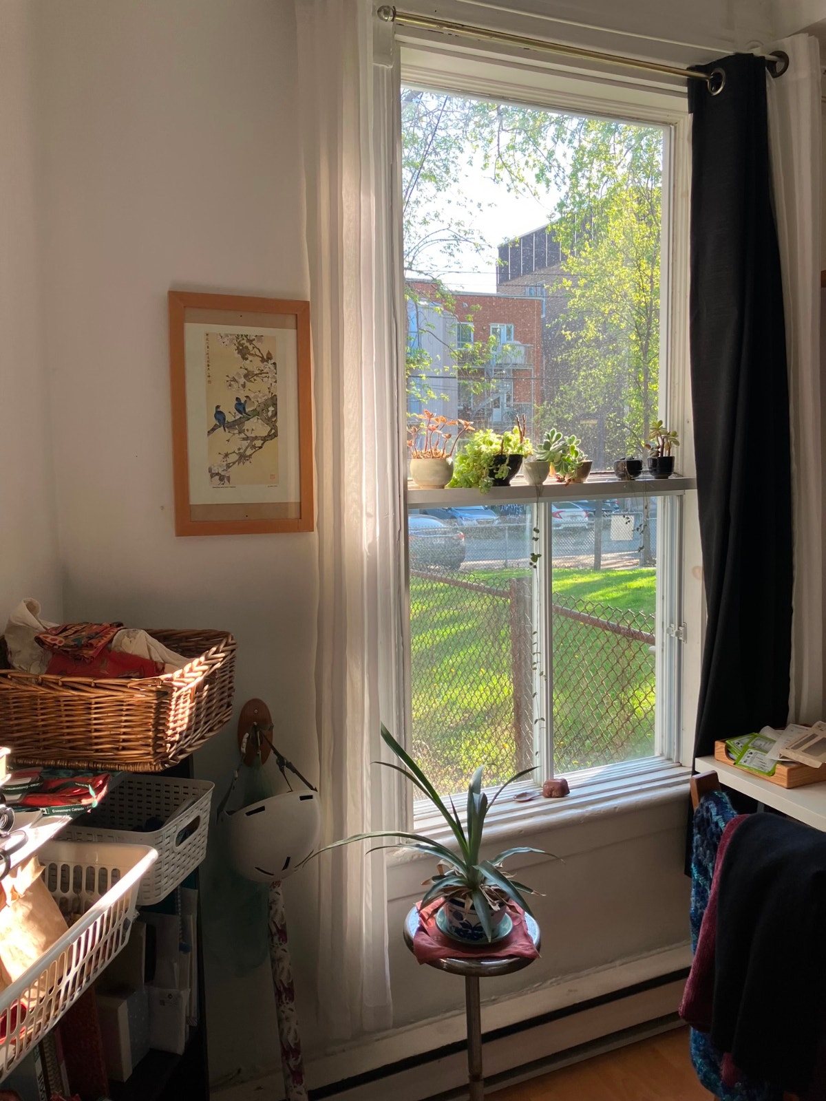 Chambre ensoleillée dans la Petite-Patrie, Septembre — photo 3