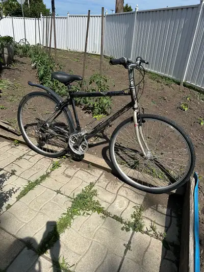 Miele Hybrid Bike, View more