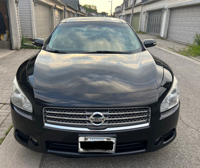 2009 Nissan Maxima for sale - one owner in Cars & Trucks in Oakville / Halton Region