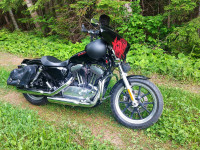 Harley-Davidson XL883L 2011
