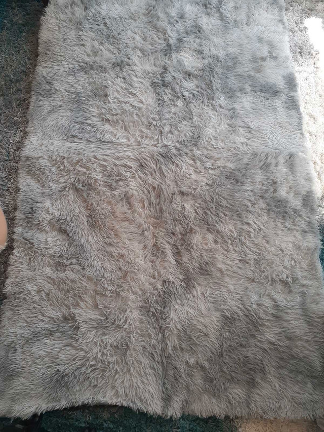 Shag rug 50x80 inches in Rugs, Carpets & Runners in Mississauga / Peel Region