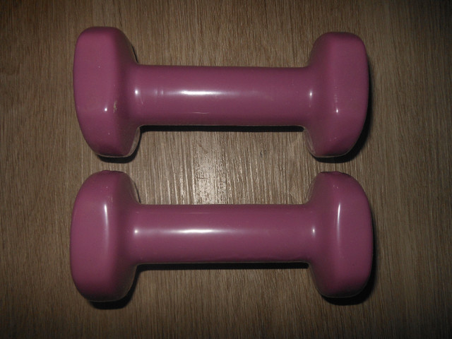 Fitness Dumbbells  Hand Weights pair. dans Appareils d'exercice domestique  à Ville de Montréal