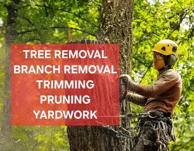 Tree removal, yard work, pruning, View more