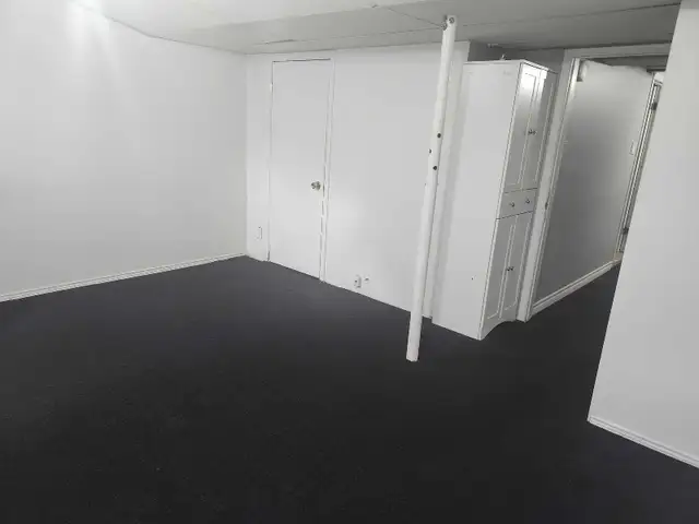 Working female only.  Large room in Basement for Rent in Room Rentals & Roommates in Ottawa - Image 2
