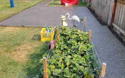 BUDGET CONCRETE/LANDSCAPING LTD 780-446-4880630092667550731213