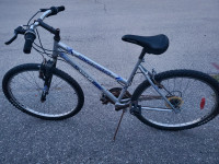 Older Bicycle