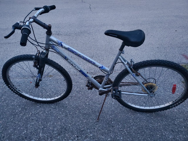 Older Bicycle in Mountain in Oakville / Halton Region