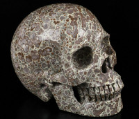 Huge 5.0" Asteroid Jasper Crystal Skull! Hand carved, realistic.