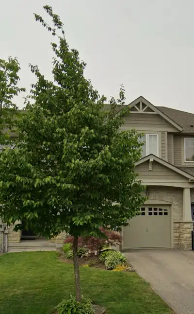 House for rent