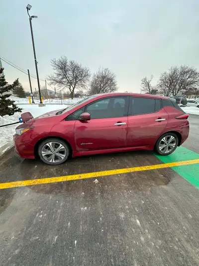 Contact: 6478783043 Safety extra $150