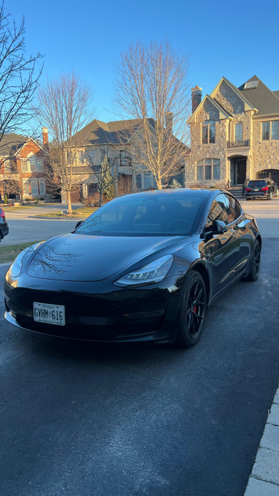 2020 Tesla Model 3 Performance + FSD + Premium Connectivity 