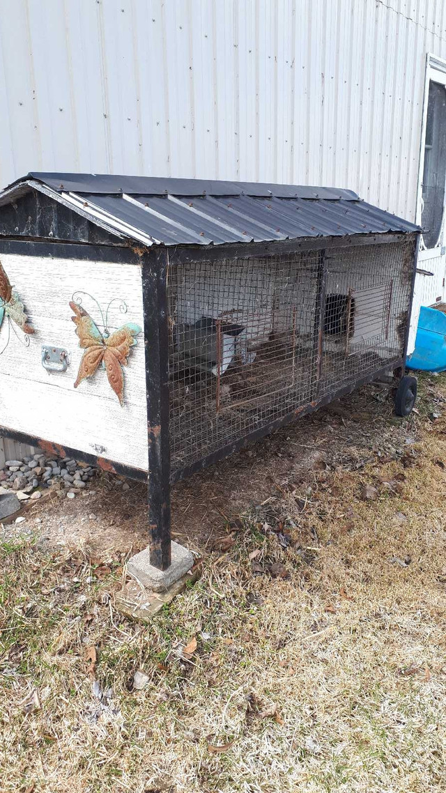 Cage A Lapin   poule ou petit animaux dans Animaux de ferme  à Lac-Saint-Jean - Image 2