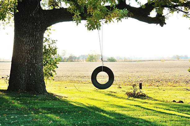 Ways To Use Old Tires in Tires & Rims in Kingston - Image 2