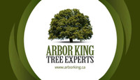 Free Quotes /  Call Arbor King Tree Experts today