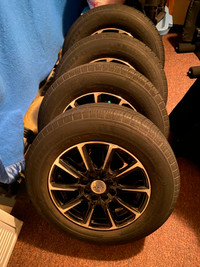 Alloy Rims with Michelin Defender XT tires