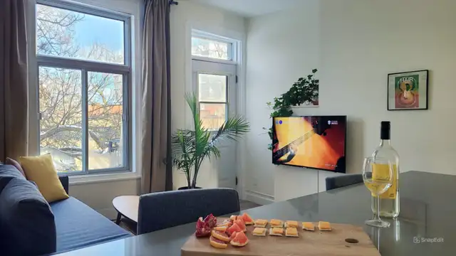 Super Suny Top-FL downtown apt, Renovated,Furnished,All included