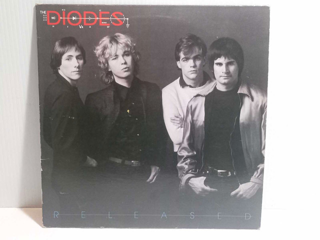 The Diodes Released Vinyl Record Music Album  in CDs, DVDs & Blu-ray in North Bay
