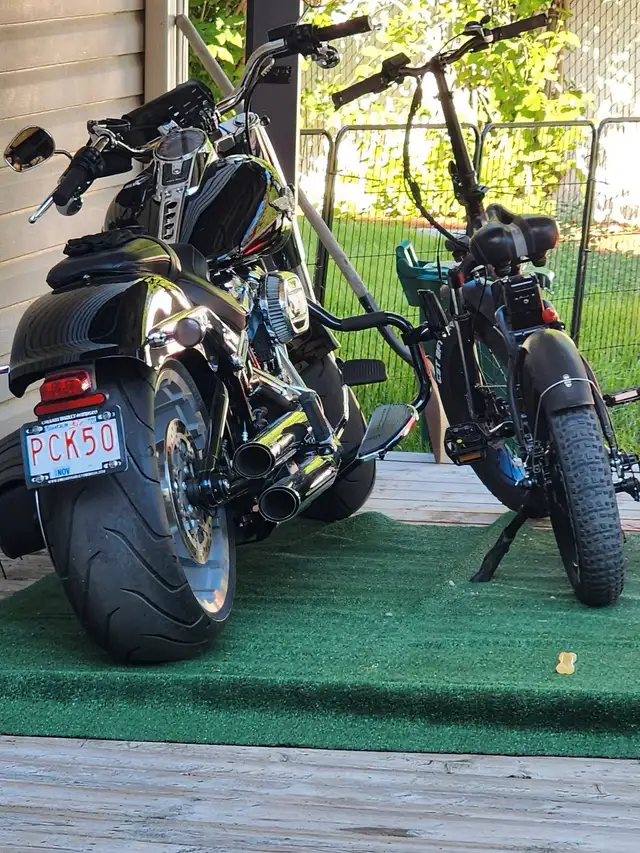 Harley fatboy in Street, Cruisers & Choppers in Calgary - Image 5