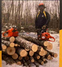 Chainsaw Services
