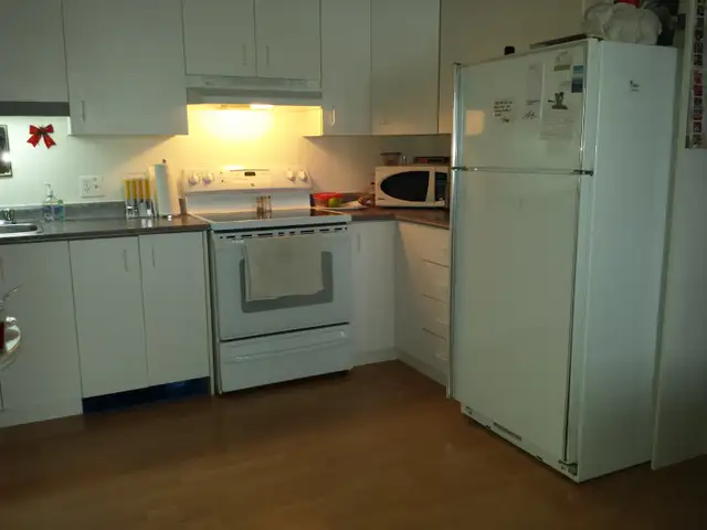 Chambre à louer. Centre-ville de Rivière-du-Loup. in Room Rentals & Roommates in Rimouski / Bas-St-Laurent - Image 4