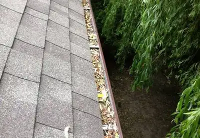 Gutter & Window Cleaning, View more