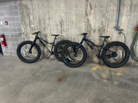 Fat bikes