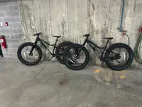 Fat bikes