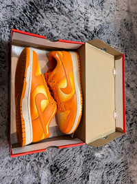 Nike Dunks Magma Orange