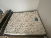 Queen Bed & mattress