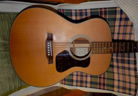 Walden acoustic guitar