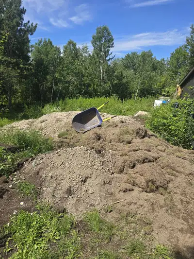 looking for free fill, View more