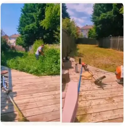 Professional Yard Cleanup, Mulch & Stone Installation, View more