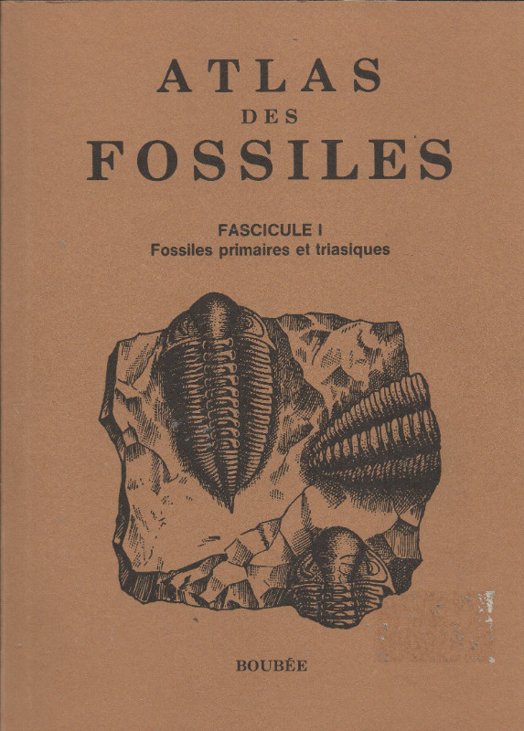 Atlas des Fossiles. 3 fascicules dans Manuels  à Longueuil/Rive Sud - Image 2