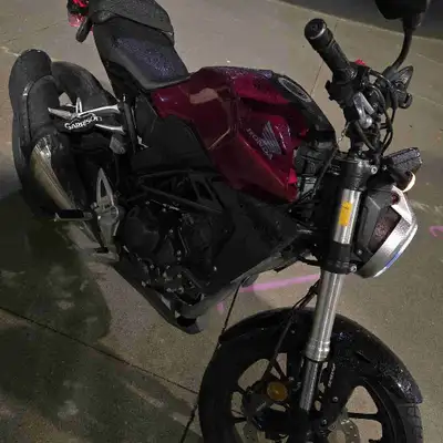 It goes without saying considering the price; but if you're looking for a beginner to intermediate l...