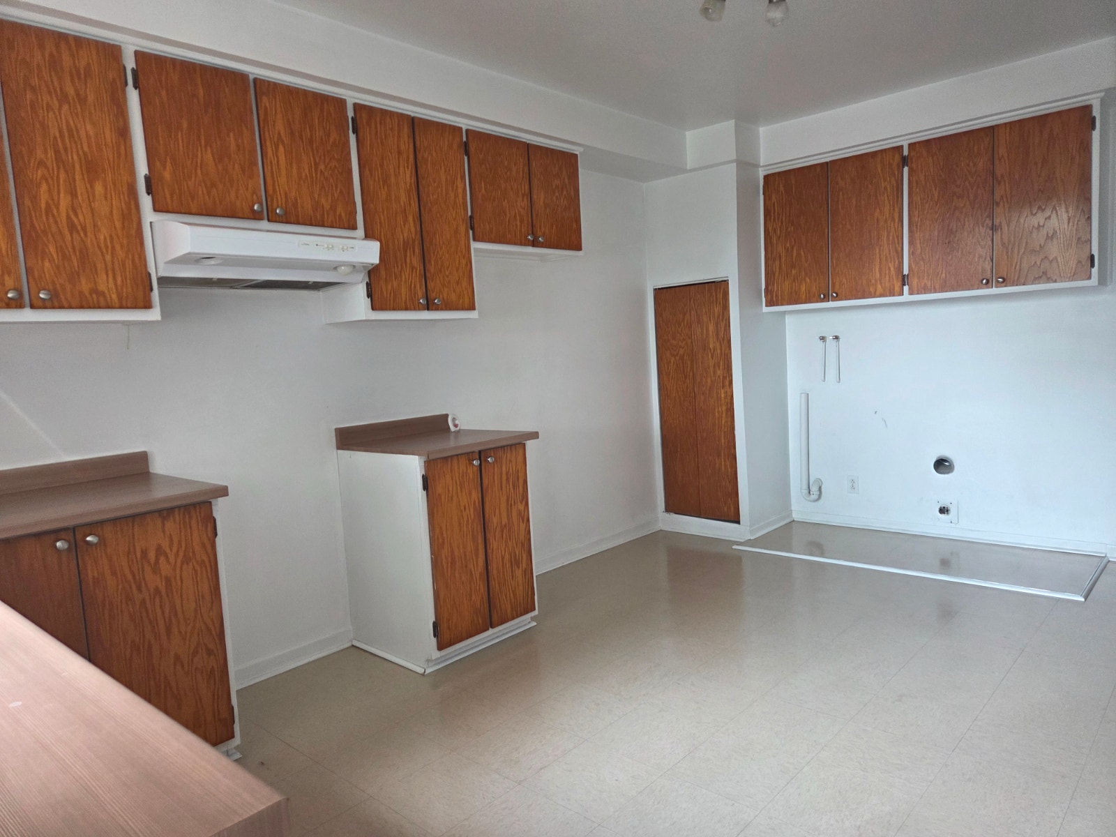 Grand logement ensoleillé près du métro Jolicoeur — photo 3