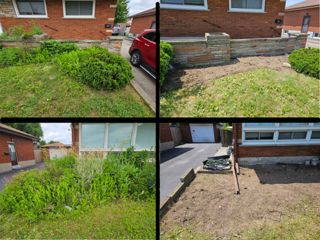 Reliable & Affordable Landscaping & Gardening - Fall Cleanup in Other in Hamilton - Image 8