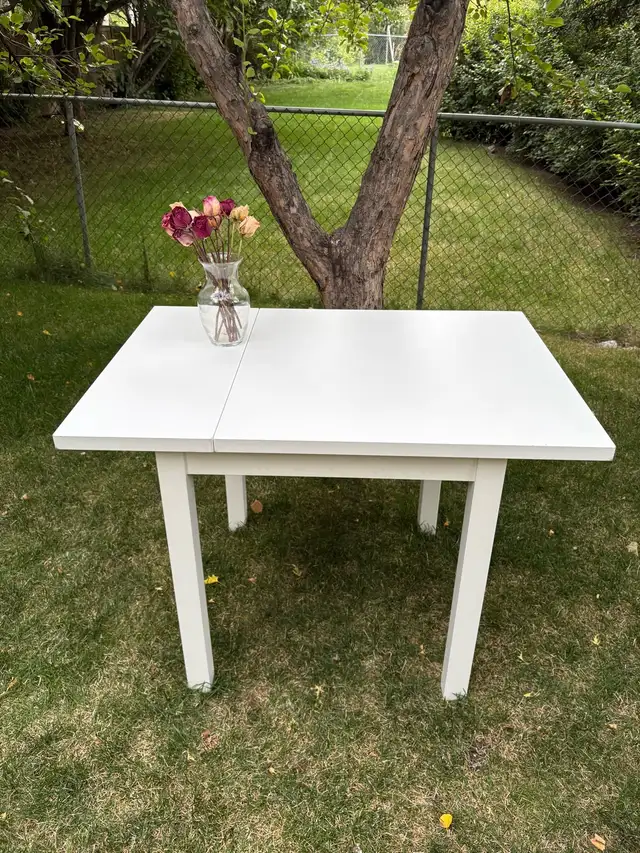 IKEA Drop-Leaf Table