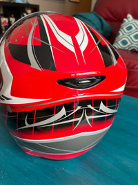 Gmax sled helmet 