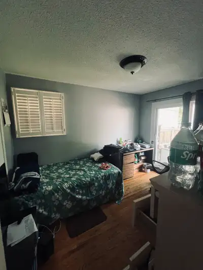 sharing room for rent near bluffers park
