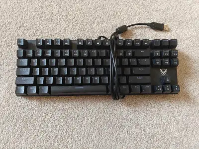 Has rgb lights and clicky key switches.