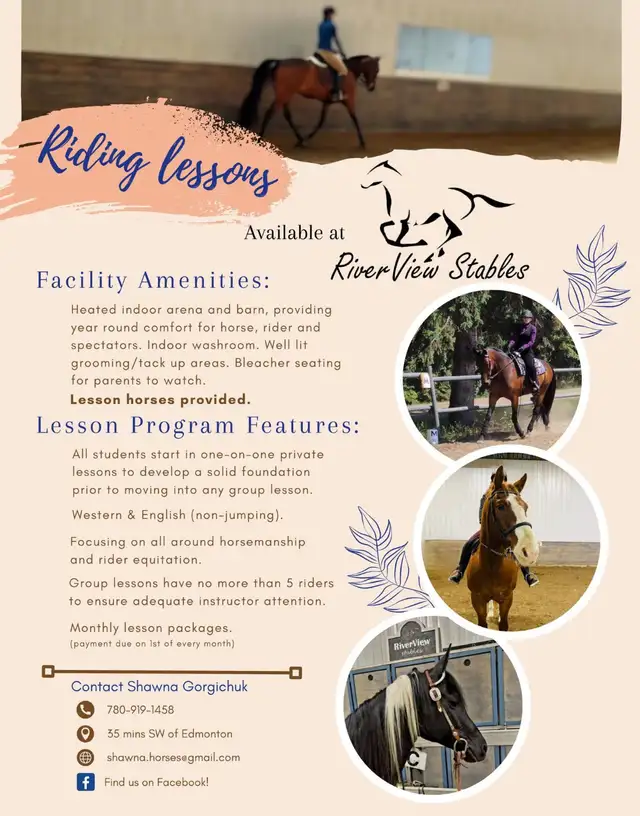 horse riding lessons462341832254443520
